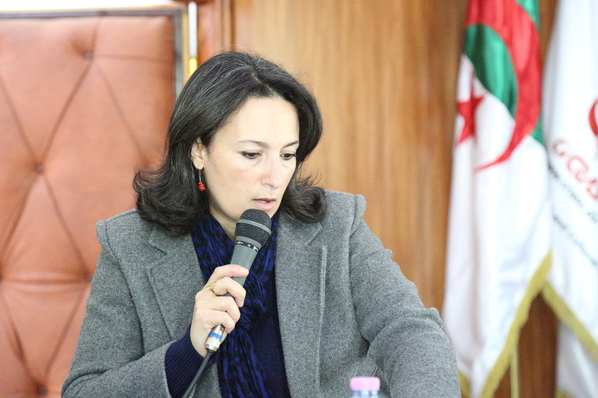 Hayette NEMOUCHI