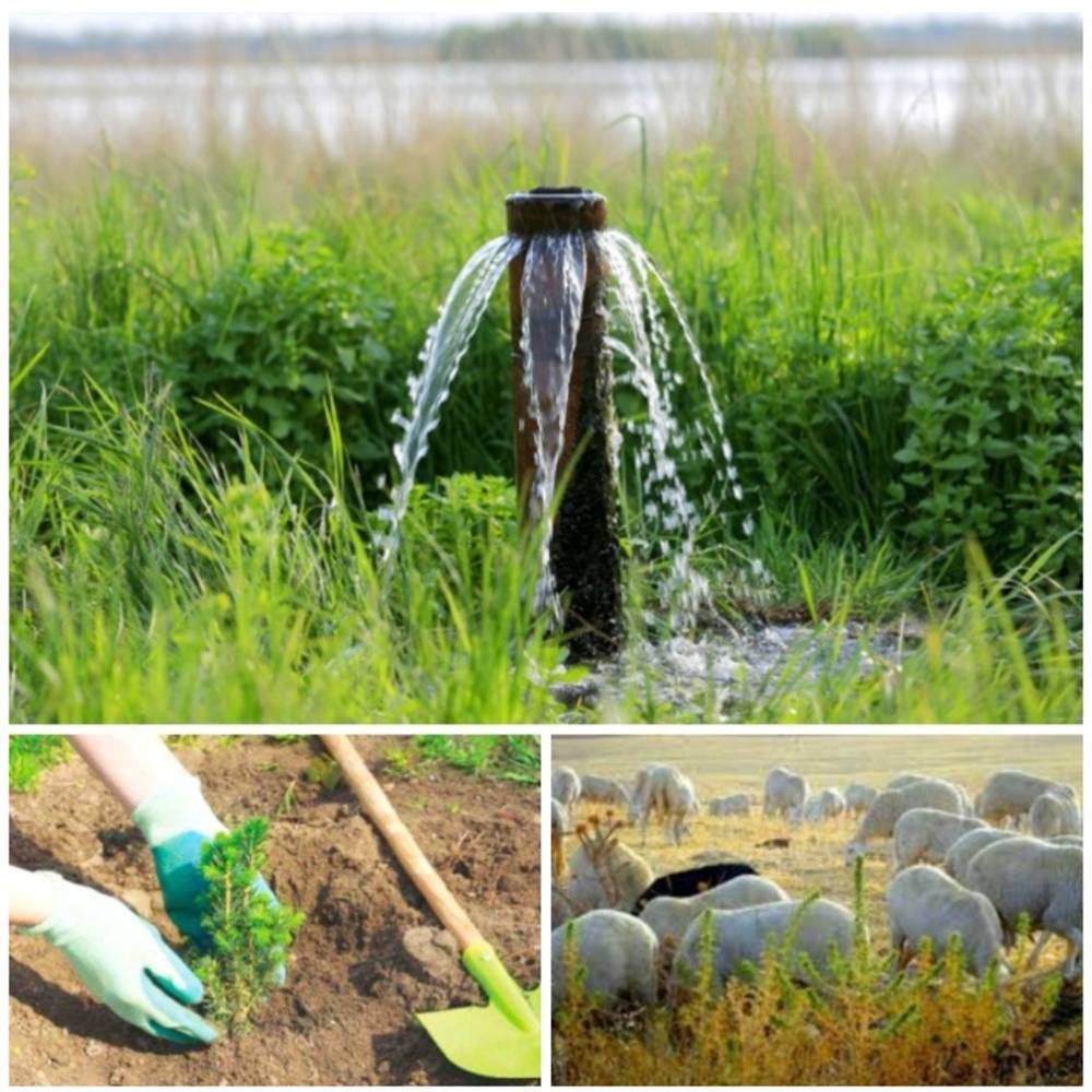 Aménagement agropastoral et développement communautaire durable de la zone humide d’Ain Skhouna (wilaya de Saïda) « AADCDZHAS»