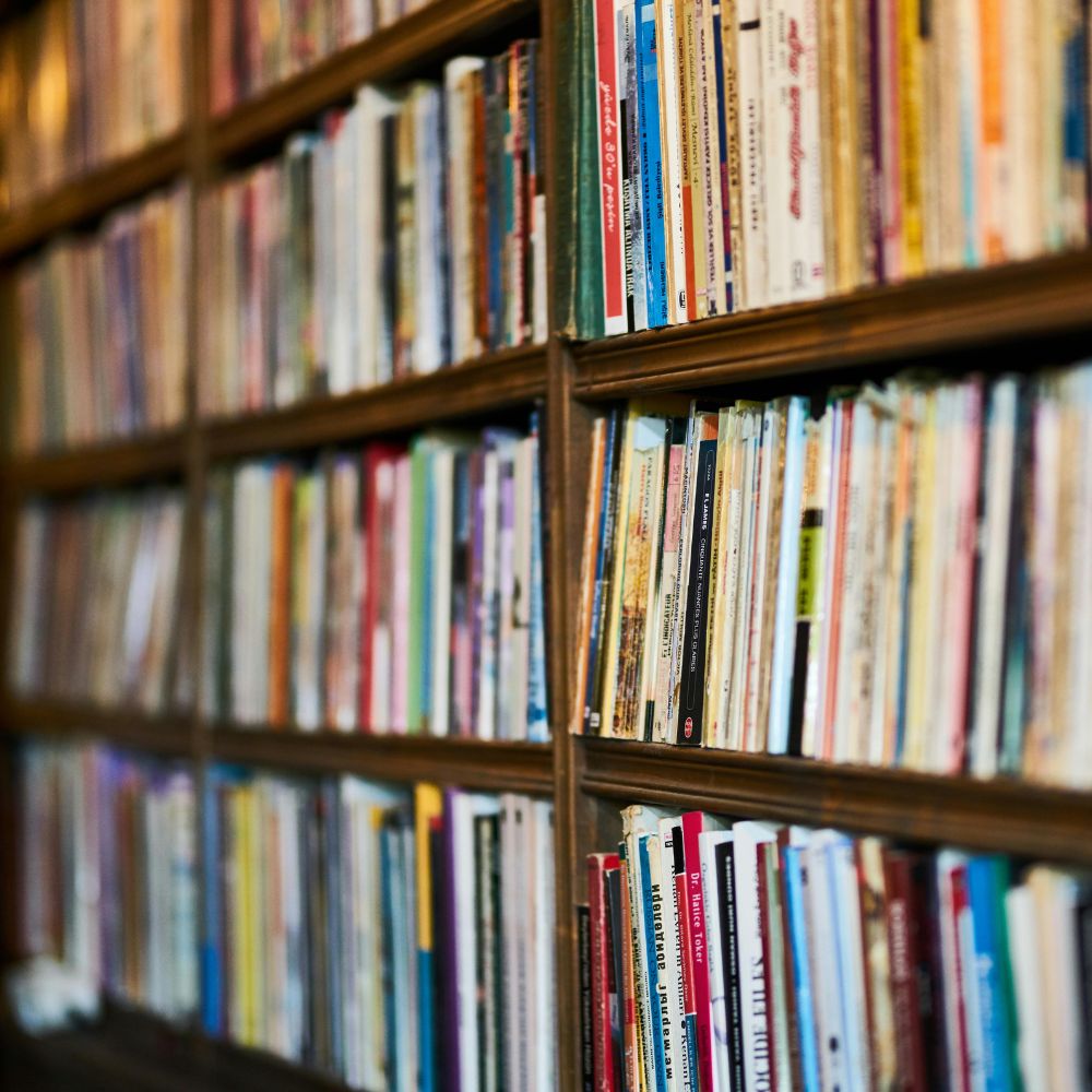 Bibliographie du roman féminin algérien
