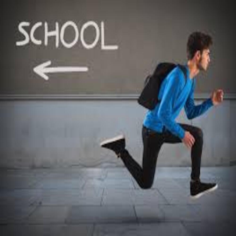 Décrochage scolaire : parcours scolaires et devenirs socio-professionnels des décrocheurs scolaires