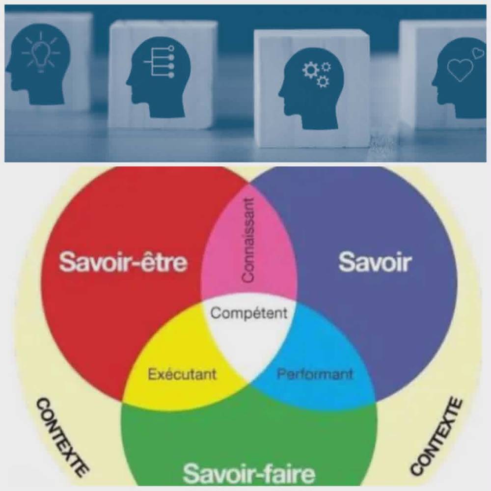 The Competency-Based Approach : Problem-Based Pedagogy and Implementation