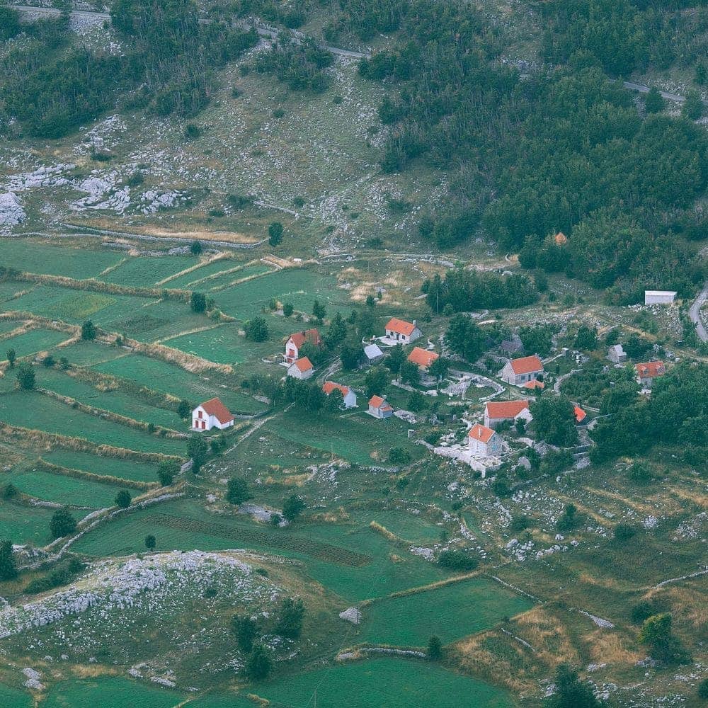 Le foncier forestier dans le Nord-est de l’Algérie : dynamiques spatiales et pratiques sociales