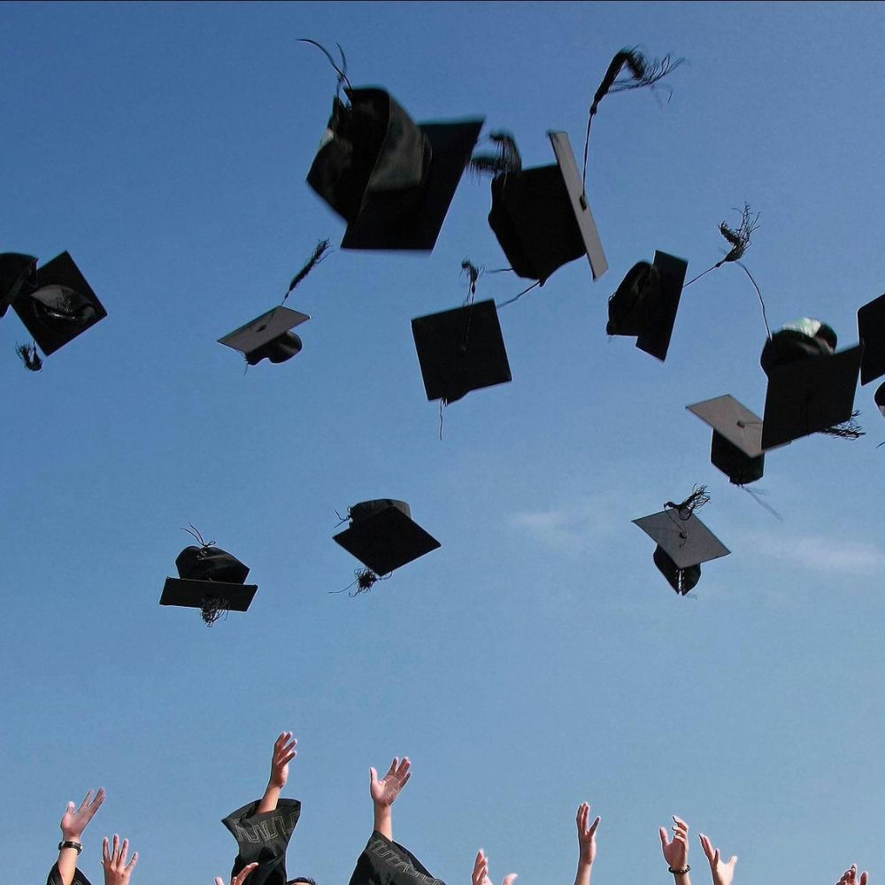 Les projets d’avenir entre perspectives et réalité chez les étudiants de l’université d’Oran