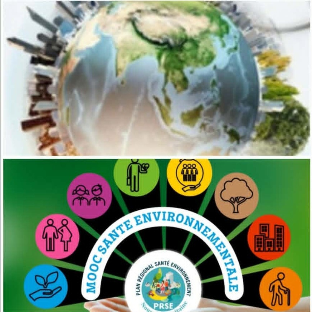 Recherche ecosanté et rapport de la population de Aïn Skhouna à la santé environnementale