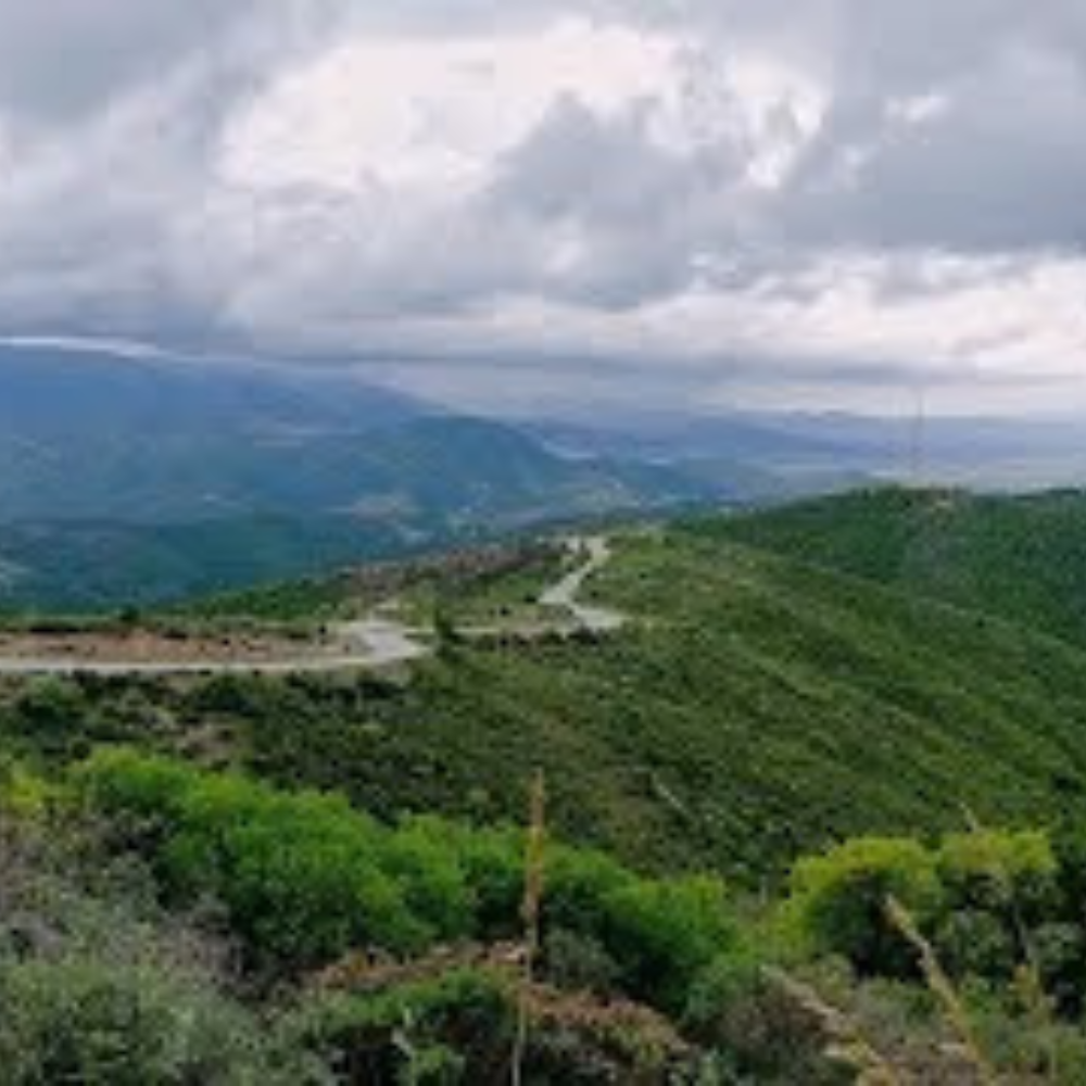 The East-West Highway and the Transformations of the Tribal Landscape in Algeria