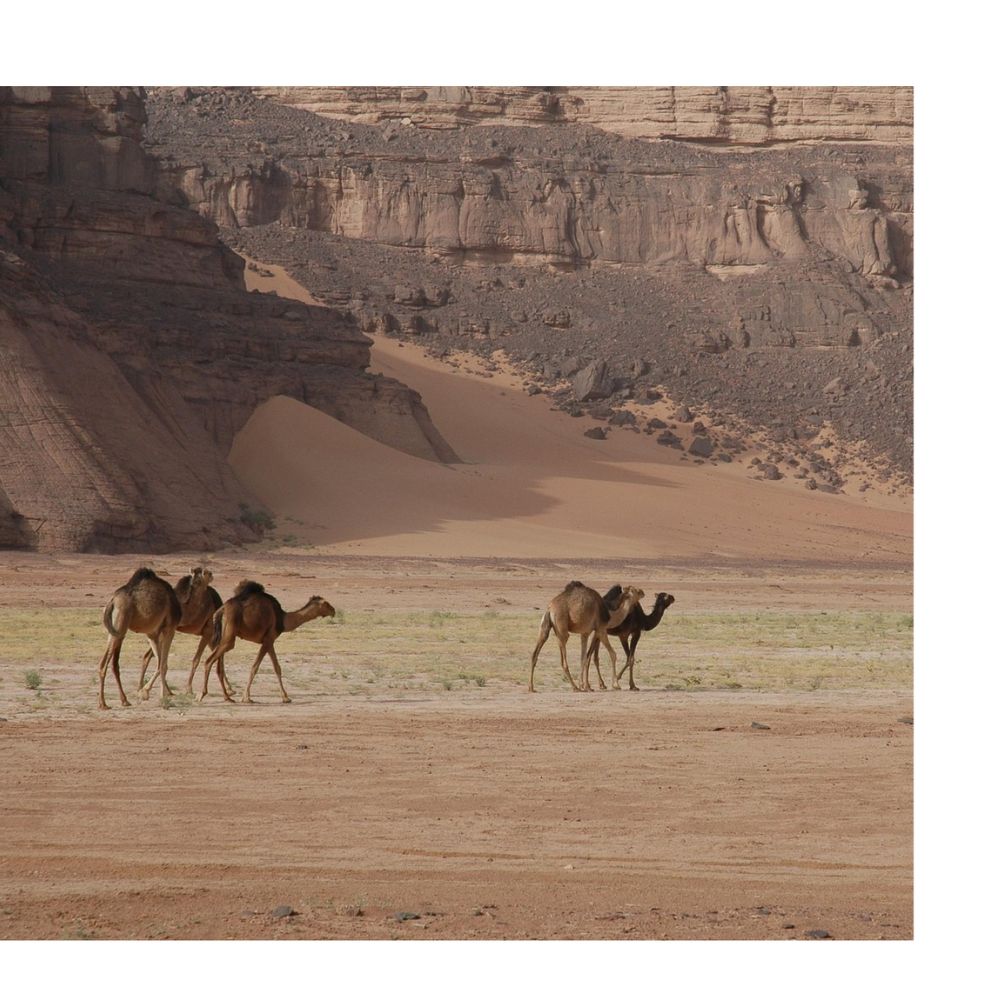 Saharan Tourism in Algeria between Past and Present: An Anthropological Study of Touristic Realities in the Biskra Region