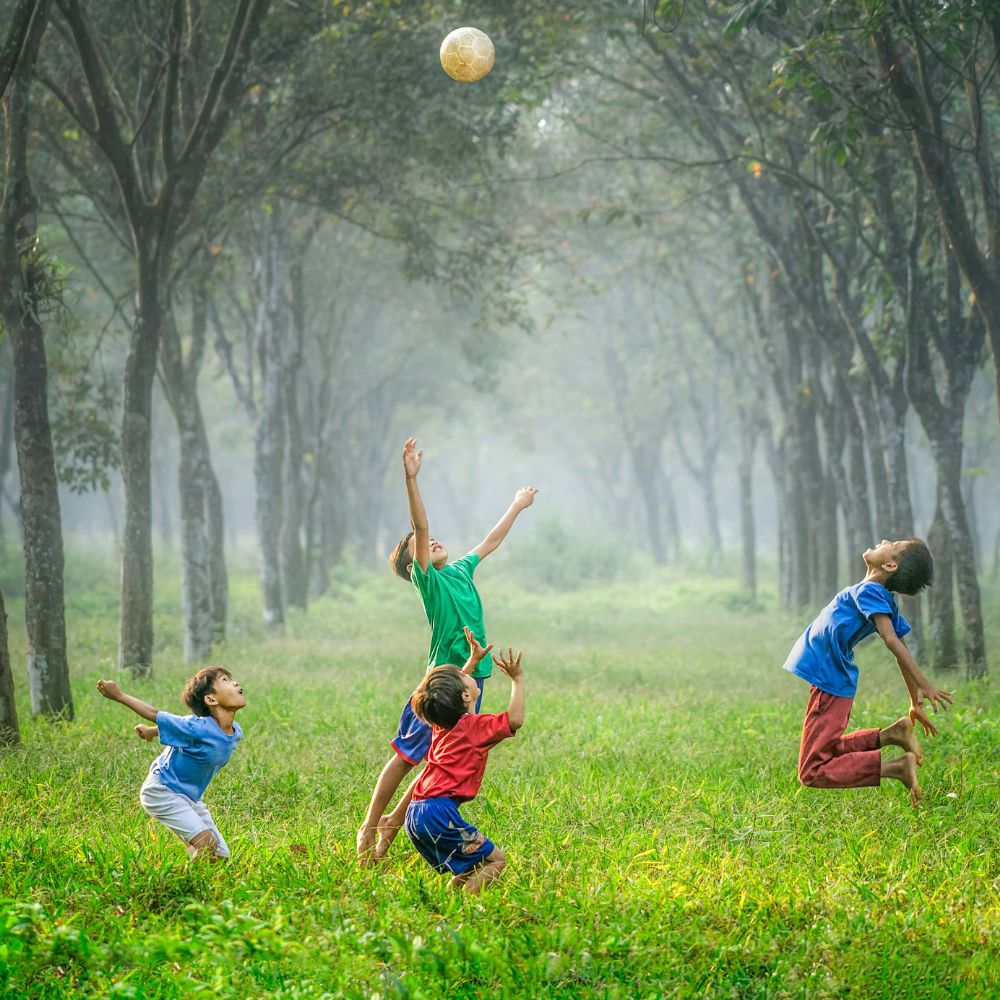 The New Relationship Between Families and Schools and Parents of Children Between Individual Strategies and Collective Action